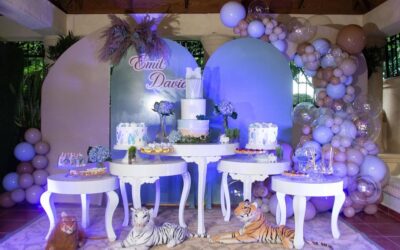 BABY SHOWER EMIL DAVID